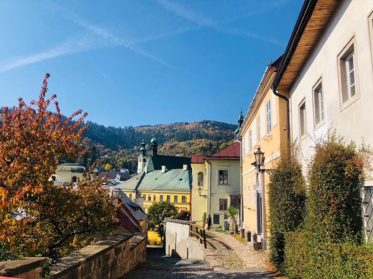 Libling Podkrovny Banska Stiavnica Bagian luar foto